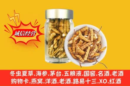 昂仁县回收散虫草